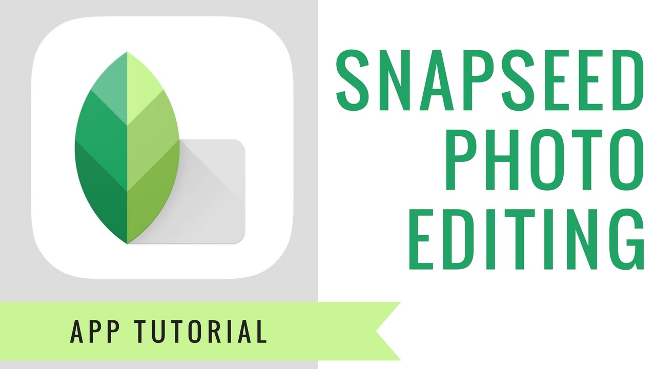 Snapseed Your Pocket-Sized Photo Studio